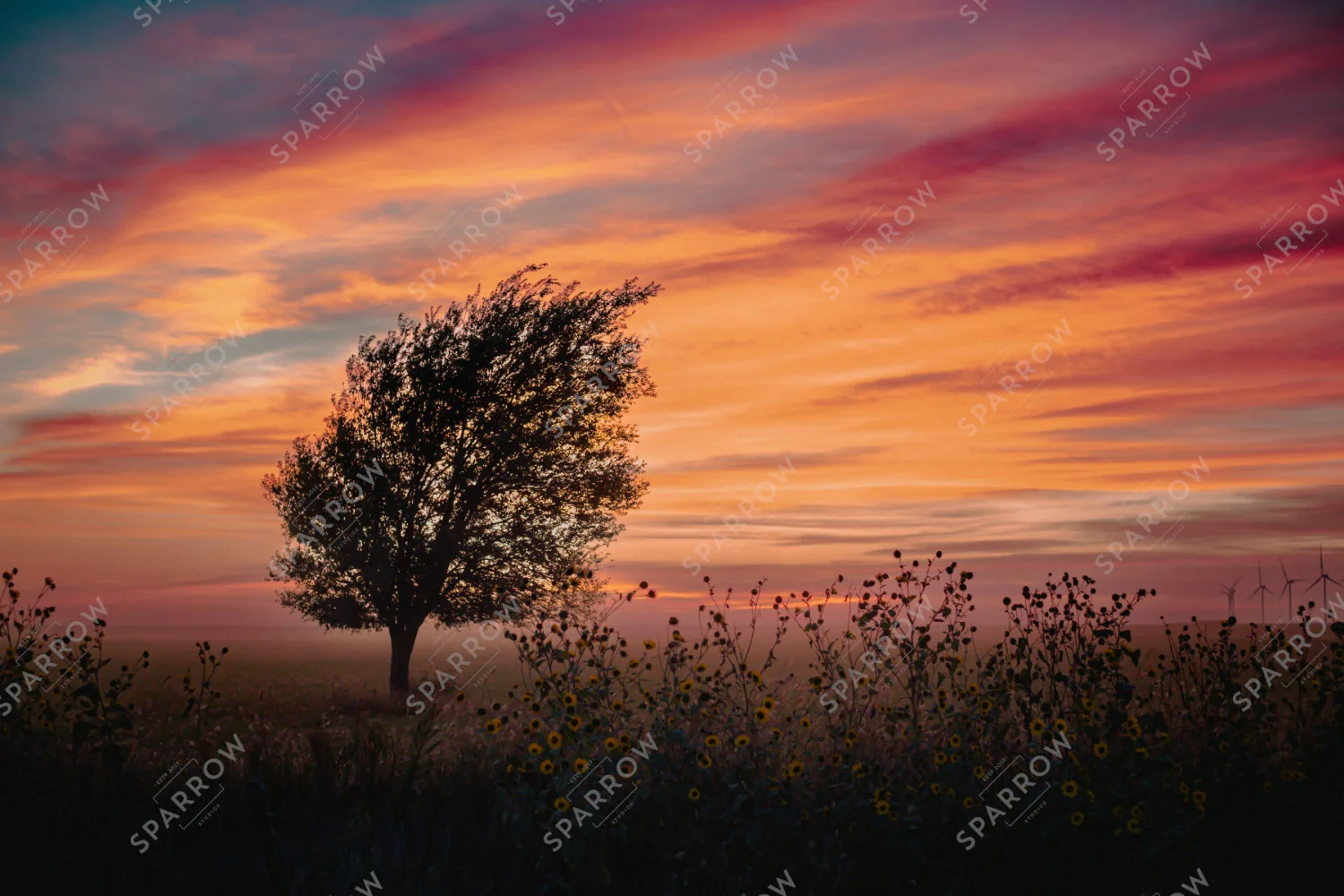 Sunset Over the Ranch, a lone tree and wildflowers beneath a vivid Texas sky.